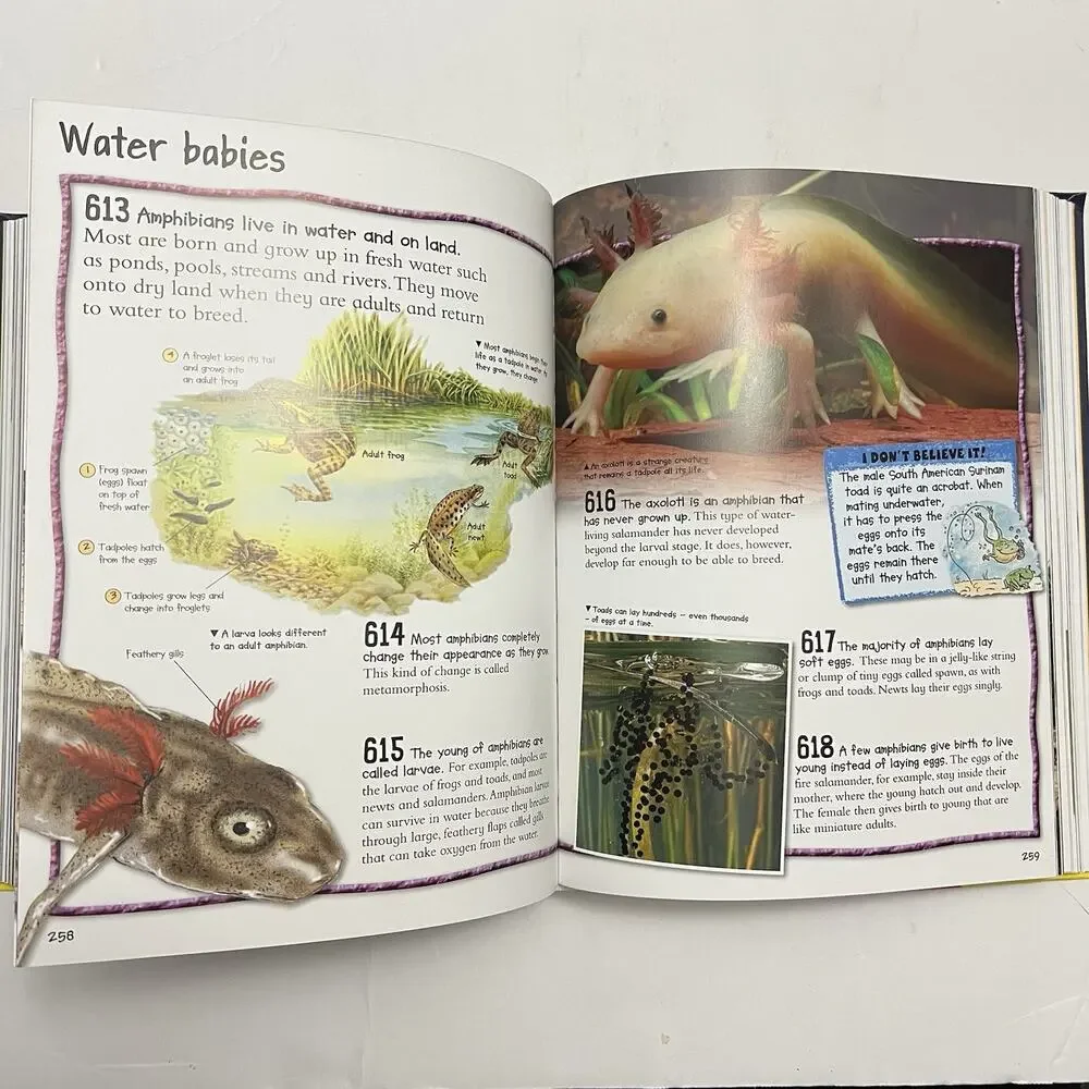 Fantastic Facts From Awesome Animals To Explosive Space Miles Kelly Publishing